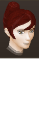 File:Female hair french twist.png