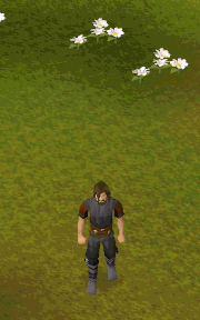 File:Invoke Spring.gif