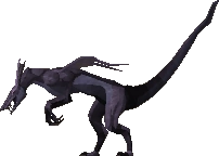 File:Shadow jadinko.png