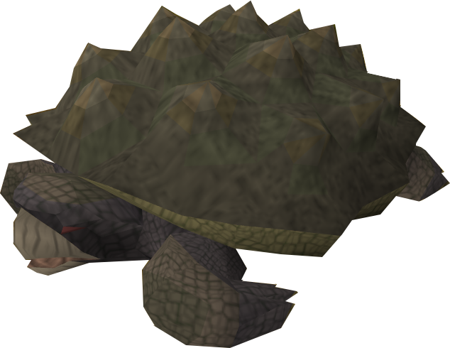 File:Tortoise old.png