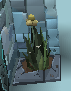 File:Ectograss plant detail.png