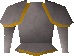 File:Initiate hauberk detail.png