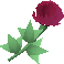 File:Pretty flower detail.png