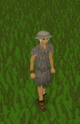 File:Freeze emote.gif