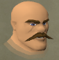 File:Blue opal secretary chathead.png