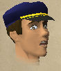 File:Customs sergeant HD.png