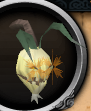 File:Evil turnip chathead.png