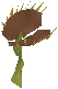 File:Fly trap.png