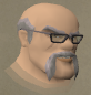 File:Hegir chathead.png
