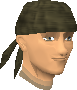 File:Miner chathead.png