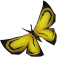 File:Yellow soporith moth detail.png