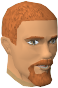File:Bartender (Dragon Inn) chathead.png