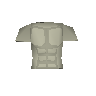 File:Fighter torso detail.png