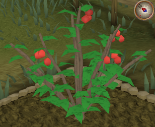File:Redberry6.png