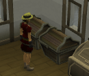 File:Stealing chest.gif