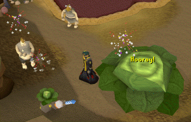 File:Cabbage ooglog firework.gif