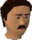 File:Ranis chathead old.png