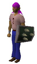 File:Adamant spikeshield fully charged equipped.png