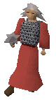 File:ChaosDruidWarrior.png