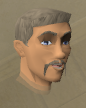 File:Dimintheis chathead.png