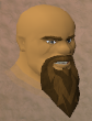 File:Odmar chathead.png