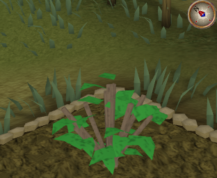 File:Redberry2.png