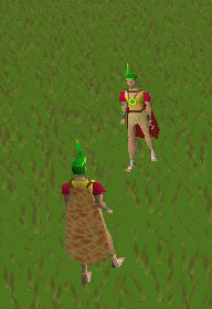 File:Healother.gif