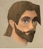 File:Sir lancelot chathead.png