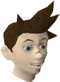 File:Rory chathead.png