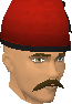 File:Rug Station Attendant chathead.png