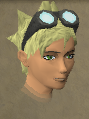 File:Ava chathead.png