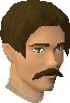 File:Pet shop owner chathead old.png