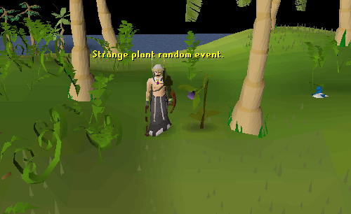 File:StrangePlant2.png