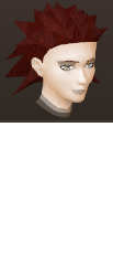 File:Female hair wildspike.png