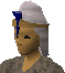 File:Saradomin mitre chathead.png