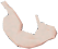 Thumbnail for version as of 23:29, 8 January 2024