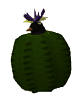 A penguin in a cactus.