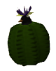 File:Penguin in cactus.png