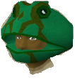 File:Frog mask chathead.png