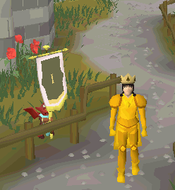 File:Anniversary emote with cape.gif