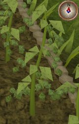 File:Hammerstone5.png