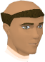 File:Monk (Lost City) chathead.png
