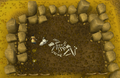 Thumbnail for version as of 23:21, 8 January 2024