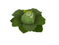 Level 11 (but not attackable) Brassica Prime.