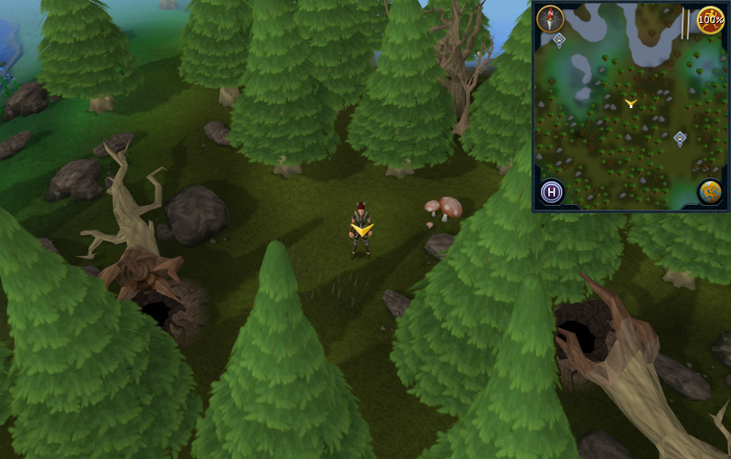 File:Scan clue-Tirannwn-Southeast of Elf Camp.png