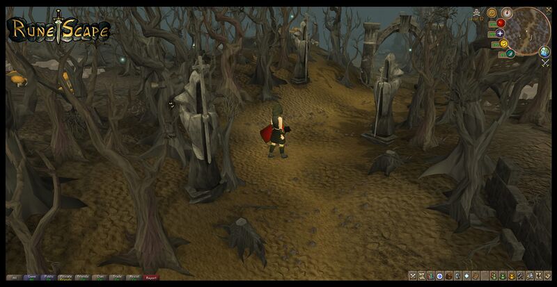 File:New wildy.jpg