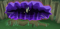 Thumbnail for version as of 23:25, 8 January 2024