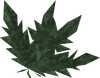 A detailed image of a cleaned fellstalk herb.
