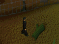 Thumbnail for version as of 23:29, 8 January 2024