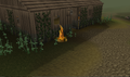 Thumbnail for version as of 23:27, 8 January 2024